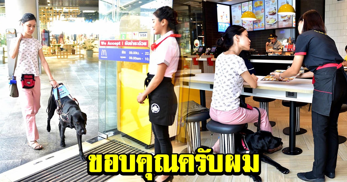 แมคโดนัลด์ ประเทศไทย เปิดประตู ยินดีต้อนรับเจ้าลูเต้อร์